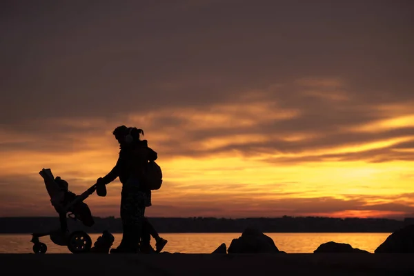 Familia Con Niños Bebé Cochecito Cochecito Silueta Contra Puesta Sol — Foto de Stock