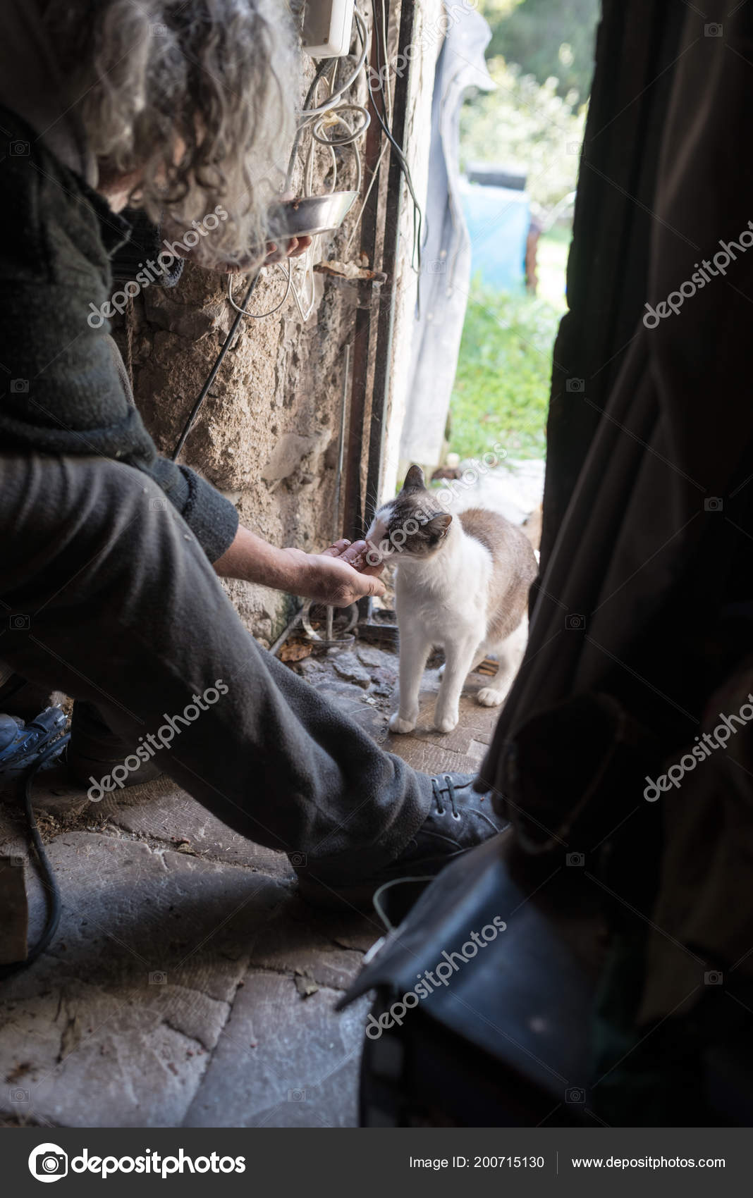 Old Man Long Gray Hair Sat Door Feeding Cat Stock Photo