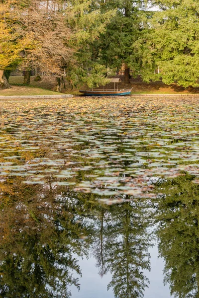 Tranquil urban scene with wooden boat and green trees reflected in the surface of the lake in an Autumn day in the park.