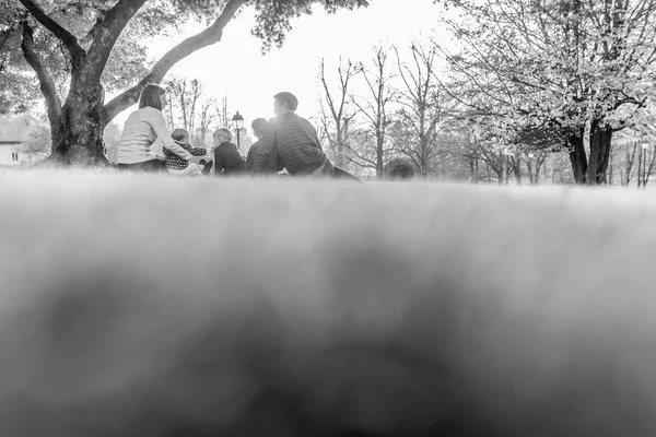 Imagem Monocromática Uma Jovem Família Com Crianças Relaxando Grama Sob — Fotografia de Stock