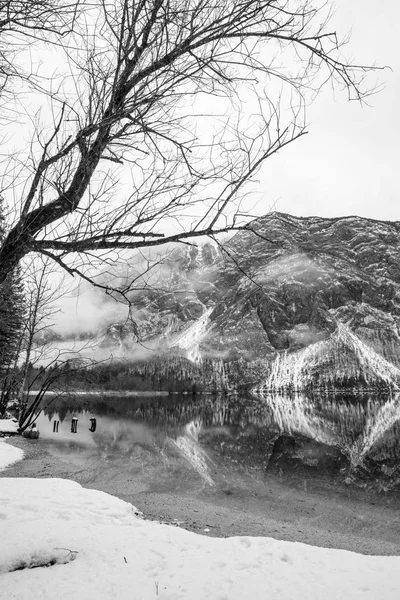 Monochromatický Obraz Krásné Klidné Jezero Bohinj Zimním Období Horami Pozadí — Stock fotografie
