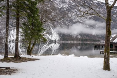 Kış olay yerinde güzel göl Bohinj arka plan ve sis göl üzerinde Dağları ile.