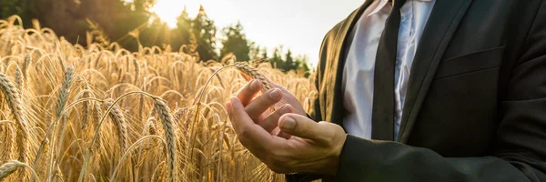 Широкий Имидж Бизнесмена Обхватывающего Спелое Пшеничное Ухо Держа Перед Огненным — стоковое фото