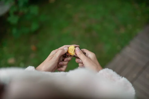 Top Shoulder View Woman Peeling Fresh Roasted Chestnut Backyard — Stock Photo, Image