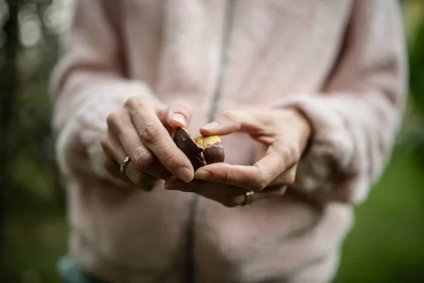 ロースト栗の殻をむく女性の手のクローズ アップ ビュー — ストック写真