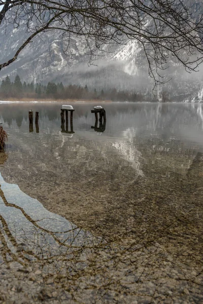 Stilles Wasser Des Kalten Wintersees Bohinj Eingerahmt Von Ästen Auf — Stockfoto