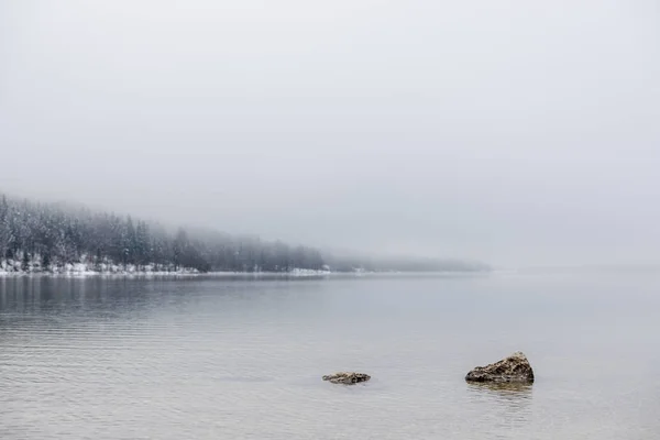 Dva Kameny Vykukoval Klidné Zimní Jezero Lesem Pozadí Mlžný Den — Stock fotografie