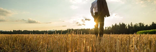 Wide View Image Businessman Standing Sawn Golden Field His Suit — Stock Photo, Image