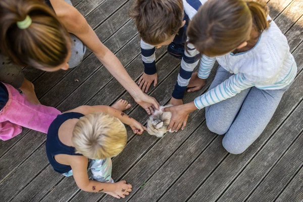 Bovenaanzicht Van Vier Kinderen Hun Moeder Klopte Hun Huisdier Konijn — Stockfoto