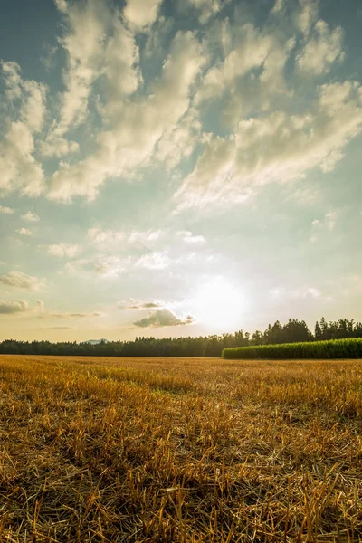 Beautiful autumn landscape - sawn wheat field under majestic cloudy evening sky with sun setting in distance.