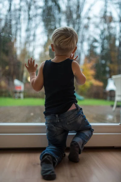 幼儿男孩站在窗户旁 向外看大自然 — 图库照片