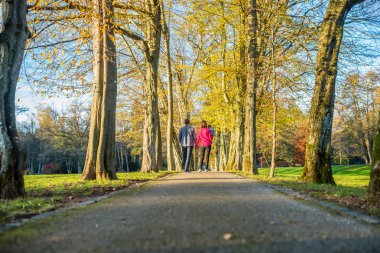 Güzel renkli ağaçları ile çevrili bir çakıl yol üzerinde bir sonbahar park üzerinden yürüyen bir bebekle genç çift