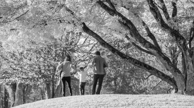 Siyah beyaz görüntü ailesinin beş zaman birlikte bir park, ailesi onun el ele tutuşarak en eski çocuk kaldırma zevk..
