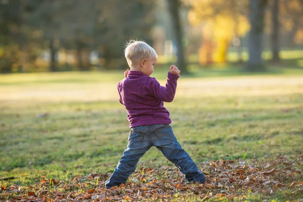 Peuter Jongen Spelen Een Herfst Park Staan Met Zijn Benen — Stockfoto