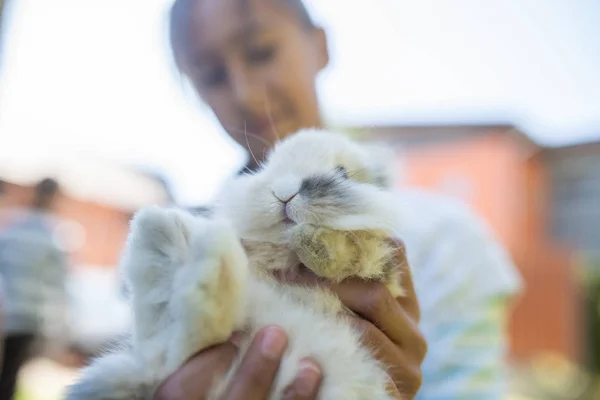 Dospívající dívka drží roztomilé Chlupaté králičí — Stock fotografie