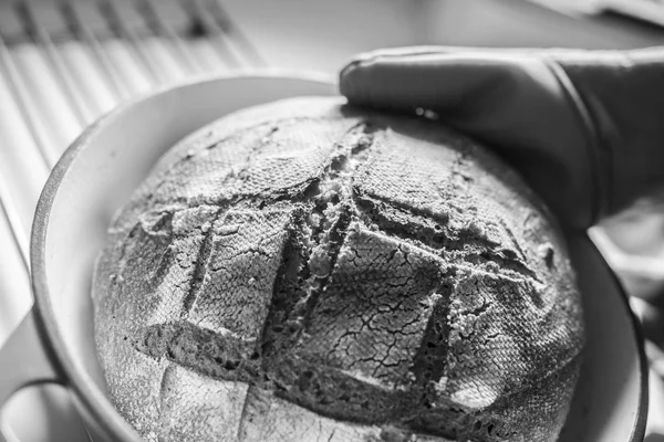 Fekete-fehér kép a frissen sült, meleg kenyér — Stock Fotó