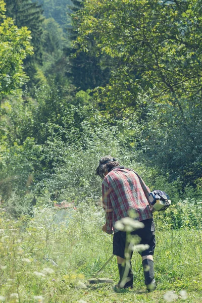 美しい緑の自然の草刈りで男の後ろからの眺め — ストック写真