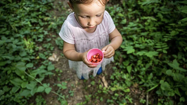 Peuter meisje houdt een kopje met wilde aardbeien staande op fo — Stockfoto