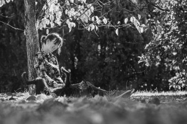 Bir sonbahar ağacı lov altında oturan genç kadın monokrom görüntü