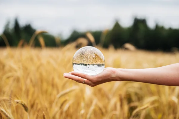 Mão feminina segurando bola de cristal claro com a natureza refletindo em — Fotografia de Stock