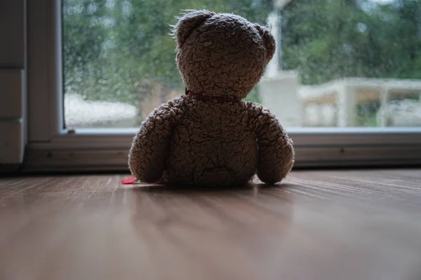 Teddybär-Spielzeug sitzt an einem großen Fenster und schaut hinaus — Stockfoto