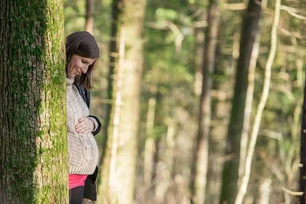 Улыбающаяся Молодая Беременная Женщина Стоящая Деревом Нежно Касаясь Живота — стоковое фото
