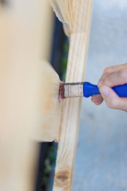 Kadın elinin arka bahçedeki çitlerin ahşap tahtalarına şeffaf cila sürdüğü yakın çekim görüntüsü..