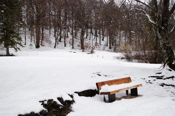 Snow covered wooden bench in a beautiful winter nature by the forest.