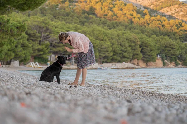 Mladá Žena Trénuje Svého Černého Ovčáka Psa Pomocí Vodítka Halti — Stock fotografie