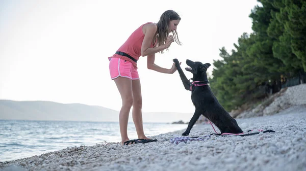 Jeune Femme Enseignant Son Chien Berger Noir Geste Haut Cinq — Photo