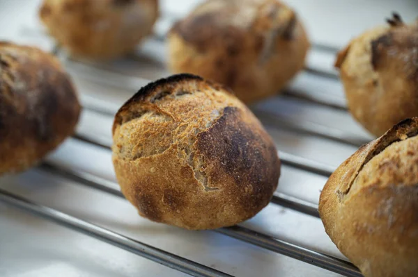 Freshly Baked Homemade Sourdough Bread Buns Cooling Rake — Stock Photo, Image