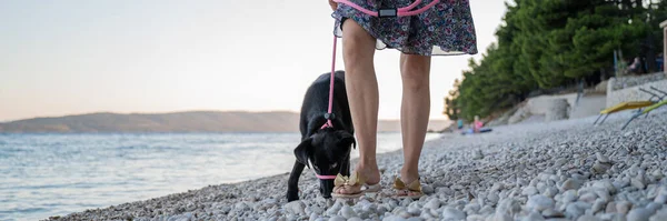 女性歩く彼女の黒羊飼い犬とともにピンクLeshオン美しいです小石のビーチによってザ海 — ストック写真