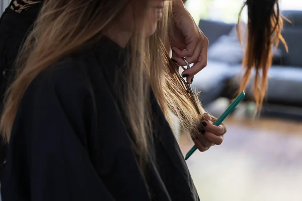 Zbliżenie Widok Profesjonalny Fryzjer Stylista Cięcia Kobiety Długie Brązowe Włosy — Zdjęcie stockowe