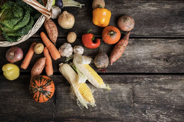 Top View Various Autumn Vegetables Sweet Potato Corn Carrots Squash — Stock Photo, Image