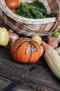 Kırsal tahtalara saçılmış hasır bir sepetten farklı renkte sonbahar sebzeleri..