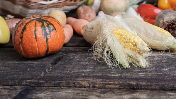 Kabak, mısır, kırsal tahtalarda patates gibi renkli sonbahar sebzeleri..