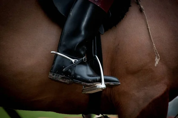 Nahaufnahme Von Jockey Stiefel Steigbügel Auf Pferd — Stockfoto
