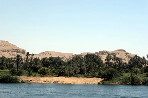 Fernsicht Auf Palmen Und Grüne Büsche Nilufer Luxor Ägypten Afrika — Stockfoto