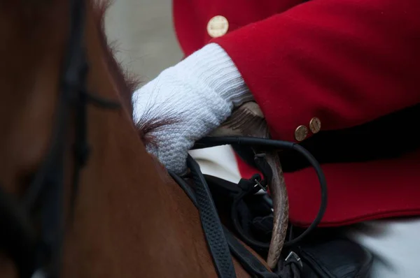 Close View Jockey Traditional Clothes Horseback — Stock Photo, Image