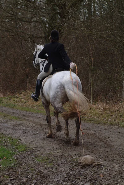 Achteraanzicht Van Jockey Paard Landweg — Stockfoto