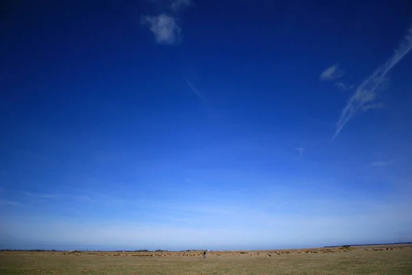 Vista Panorámica Del Verde Presentada Contra Cielo Azul — Foto de Stock