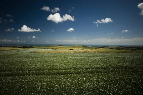Mavi Gökyüzü Karşı Yeşil Alanın Doğal Görünümü — Stok fotoğraf