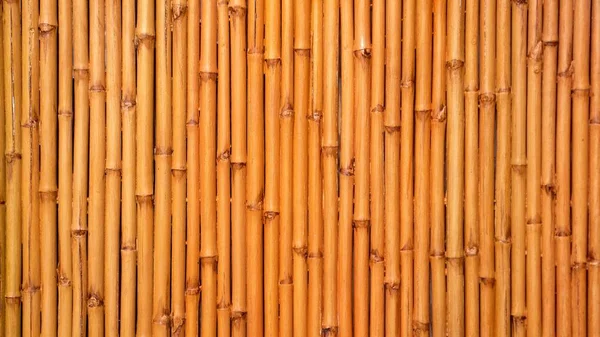 Marco Completo Vista Asiático Bambú Pared — Foto de Stock