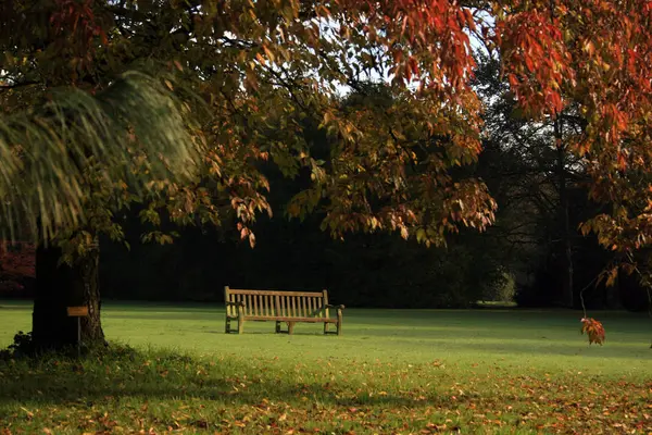 Fernsicht Auf Holzbank Stadtpark — Stockfoto