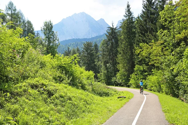 Female Biker Cycles Heavily Forested Trail Beautiful Dolomite Mountains Northeast — Stock Photo, Image