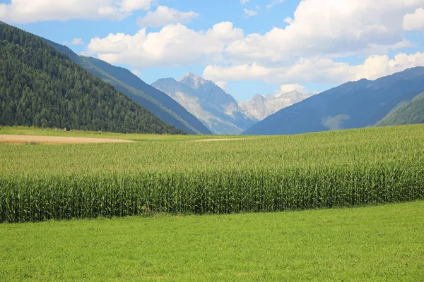 Majestic Dolomite Mountains Tower Rural Farmland Northeastern Italy — Stock Photo, Image