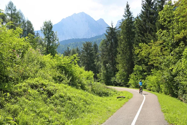 Female Cyclist Rides Lush Green Forest Base Dolomite Mountains Northern — Stock Photo, Image