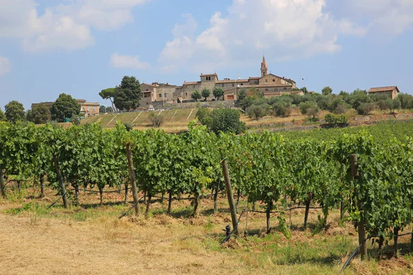 イタリア キャンティを緑豊かな 緑のブドウ園に隣接しているサン Gusme の絵のような中世村 — ストック写真
