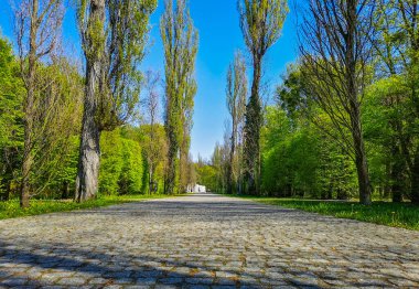 Parkta kaldırım kenarında çalılar ve haydutlar var. 