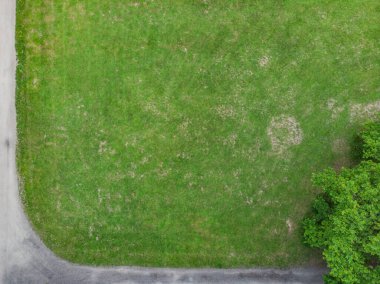 Çimenler, çalılar ve ağaçlar arasındaki yollara bakın.